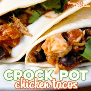 Feel like chicken tonight? These Easy Crock Pot Chicken Tacos are absolutely delicious and super quick to throw together! 