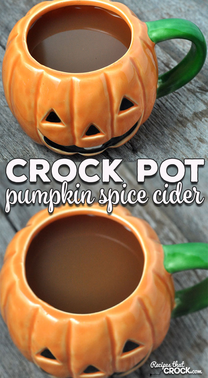 If you are a pumpkin spice fan, then you don't want to miss this delicious Crock Pot Pumpkin Spice Cider recipe! It is perfect for your next get-together!