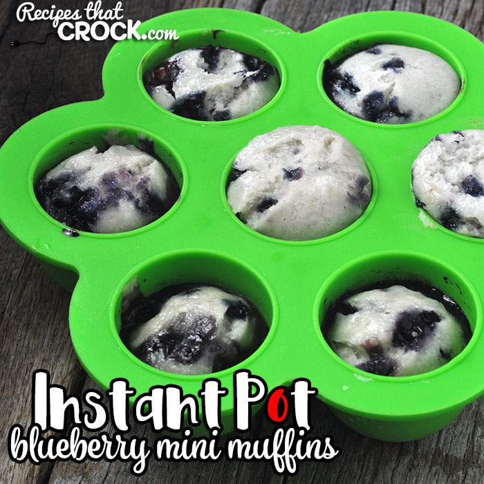 If you are looking for a super easy breakfast recipe you can make ahead of time or in the morning, then you don't want to miss these yummy Instant Pot Blueberry Mini Muffins!