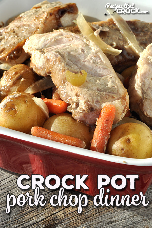 Crock Pot Pork Chop Dinner Recipes That Crock!
