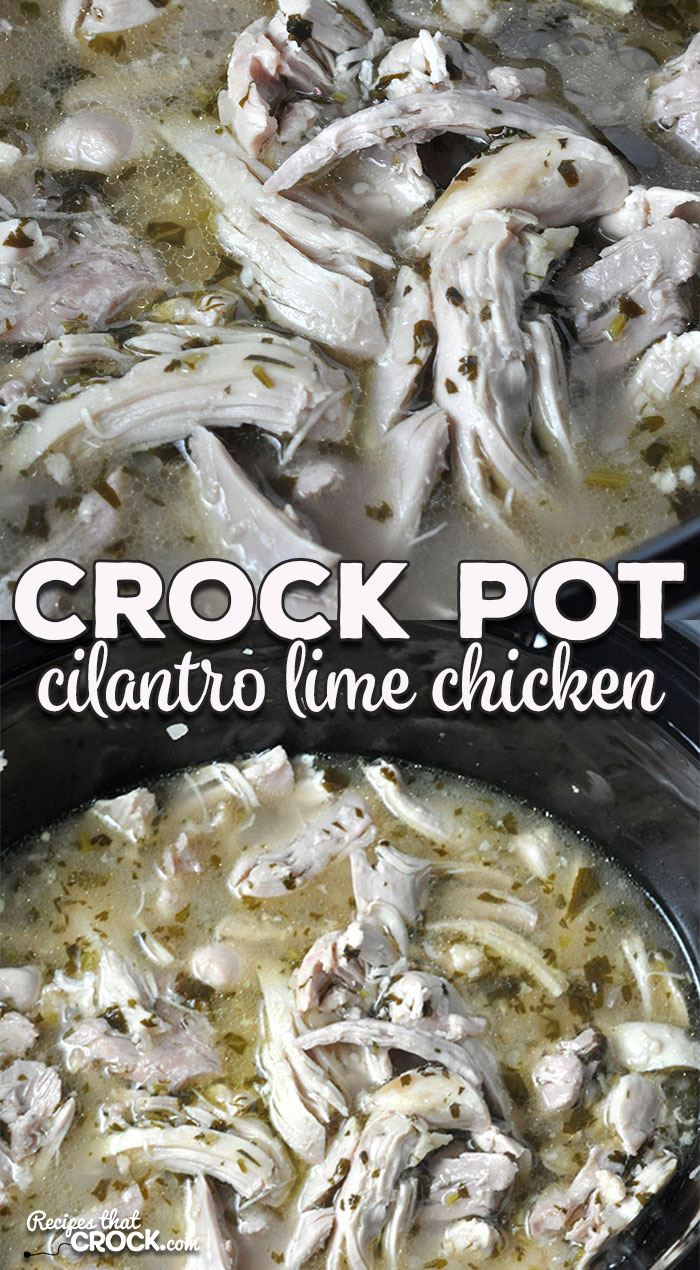 This Crock Pot Cilantro Lime Chicken recipe is so simple, yet so delicious and could be used in so many different ways! You don't want to miss this incredible recipe!