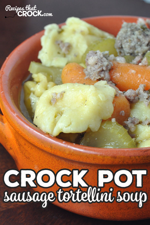 If you are looking for an easy to make, delicious tasting soup to fill you up, you need to give this Crock Pot Sausage Tortellini Soup a try!