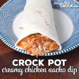 This Creamy Crock Pot Nacho Chicken Dip is super easy to make and can be served as a dip or as a main dish on tortillas! Either way, you'll love it!
