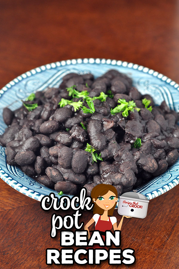 These Crock Pot Bean Recipes are sure to please! We have soups, mains, casseroles and side dishes! These easy, budget friendly recipes are delicious!