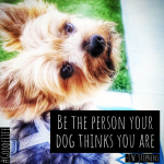 Be the person your dog thinks you are.- J. W. Stephens