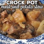 If you are looking for a heart meal to fill you up and delight your taste buds, check out this amazing Crock Pot Meat and Potato Stew recipe!