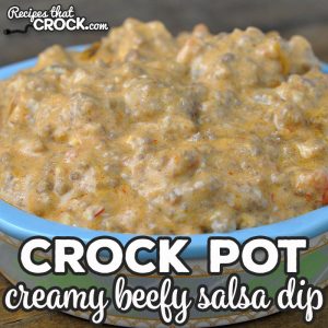 Do you love having that dip at a potluck that is gone first and everyone raves about? Then you want to make this Creamy Crock Pot Beefy Salsa Dip!