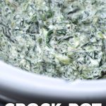 If you are looking for a delicious dip to serve at a get together or just to have as a treat at your house, you do not want to miss this Hot Crock Pot Spinach Dip! It is easy to make and delicious!