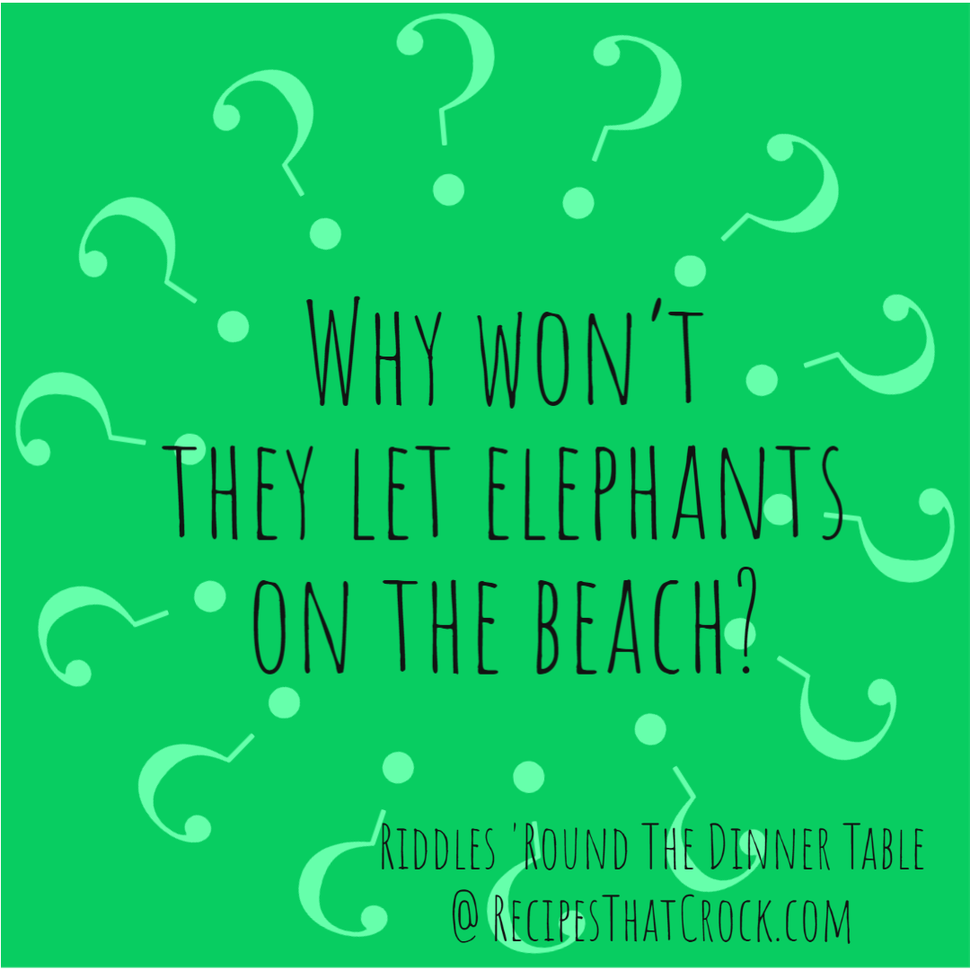 Why won't they let elephants on the beach?