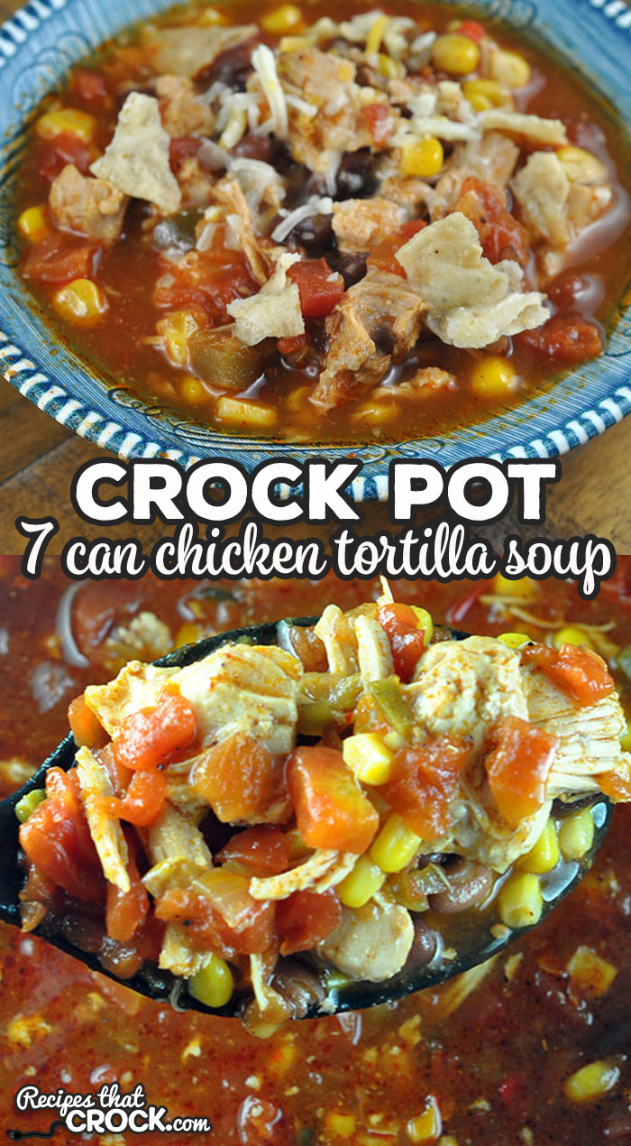 This 7 Can Chicken Tortilla Soup is incredibly simple to make and wonderfully delicious! You are going to make this recipe over and over again!