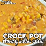 If you want an easy and delicious side dish idea, check out this Crock Pot Cheesy Salsa Corn recipe! So simple to make, and it is tasty as can be!