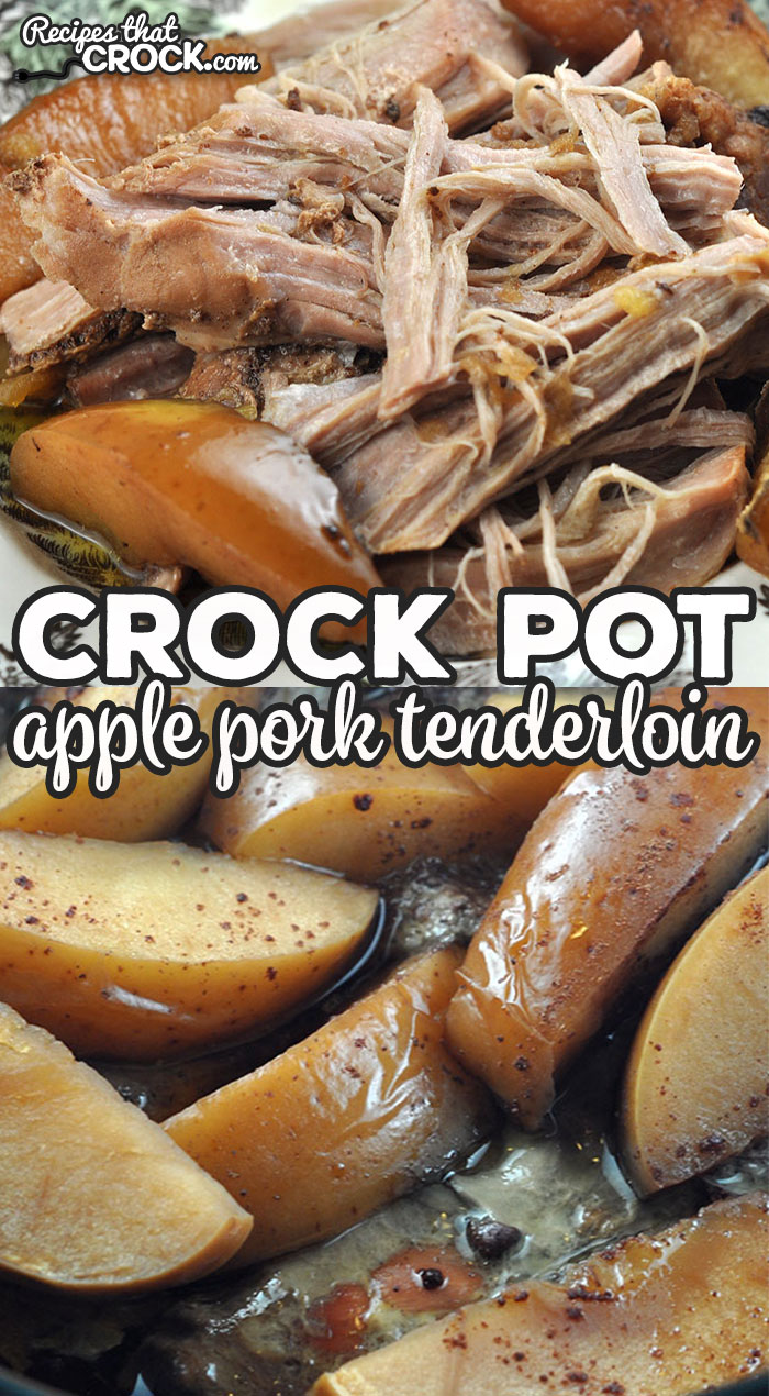 If you love the combination of sweet and tangy flavors, you are going to love this Apple Crock Pot Pork Tenderloin. It is so easy to make and full of flavor! via @recipescrock