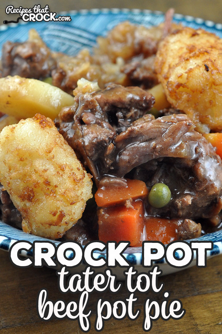 My family loved this Tater Tot Crock Pot Beef Pot Pie recipe. I loved that it was easy to throw together as well as tasty too! via @recipescrock