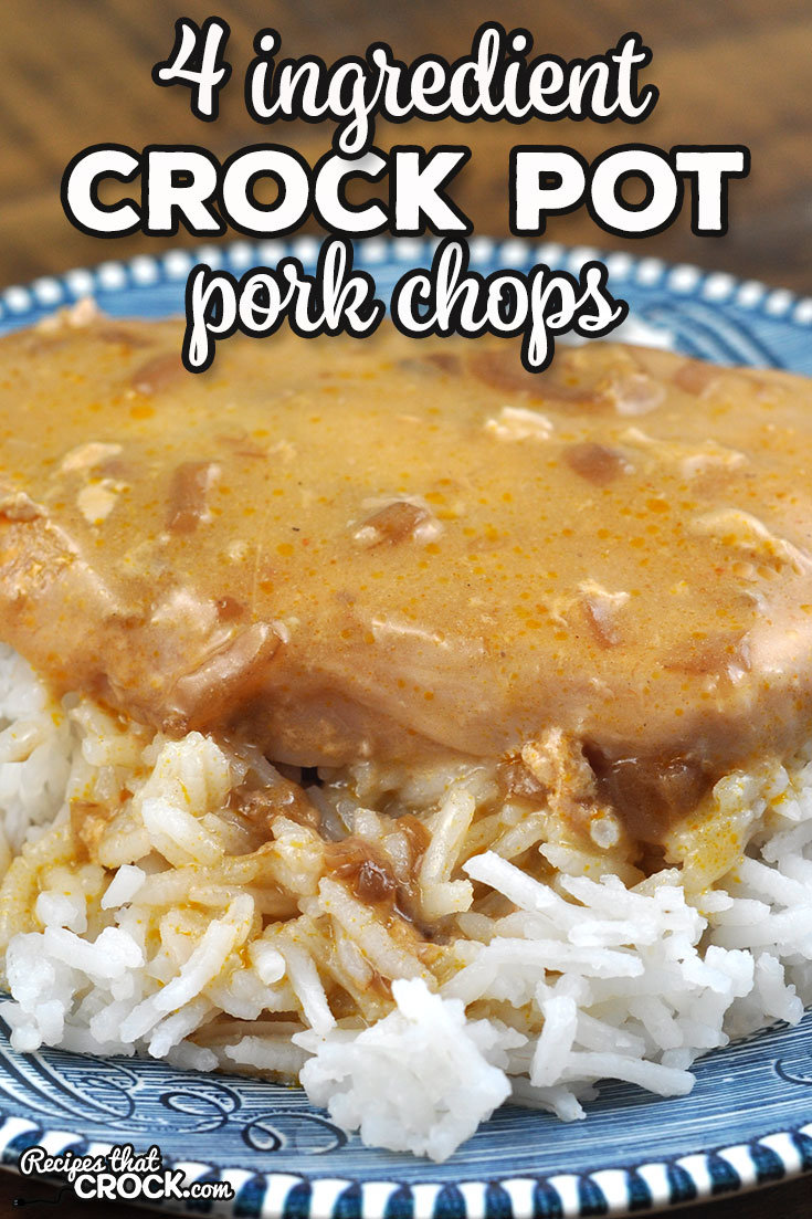 This 4 Ingredient Crock Pot Pork Chops recipe takes one of our favorite tried and true recipes and gives you a wonderful pork chop dish. So yummy! via @recipescrock
