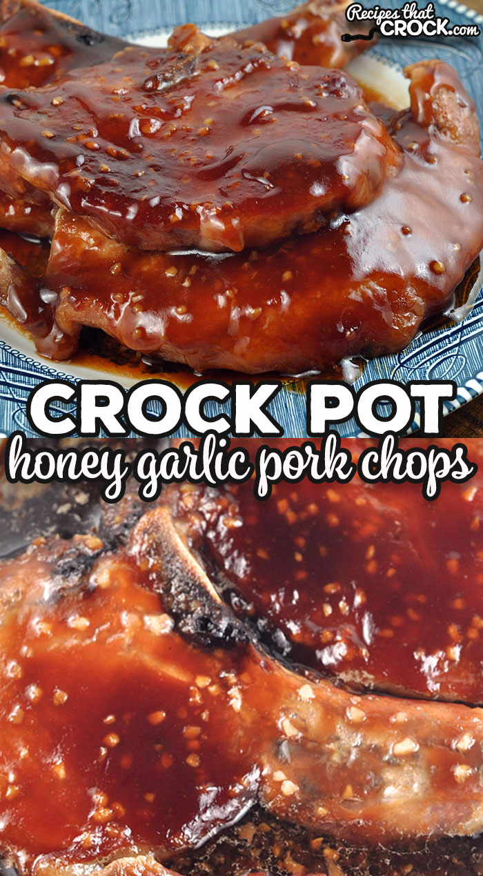 This Honey Garlic Crock Pot Pork Chops recipe was an instant favorite with my family, and I bet it will be at your house too! via @recipescrock