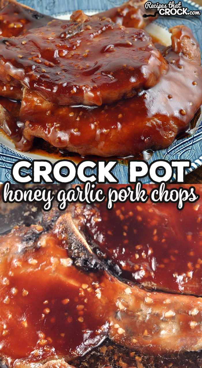 This Honey Garlic Crock Pot Pork Chops recipe was an instant favorite with my family, and I bet it will be at your house too!