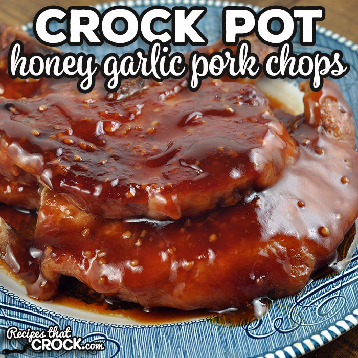 This Honey Garlic Crock Pot Pork Chops recipe was an instant favorite with my family, and I bet it will be at your house too!