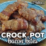 These Crock Pot Bacon Bites are super simple to make and give you a unique treat that is packed full of flavor!
