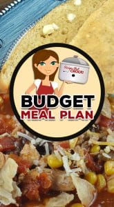 It is time for Budget Meal Plan: Week 4. This week we have a little bit of everything when it comes to our main dishes, all while staying on budget!