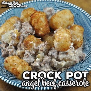 I have a feeling you are going to love this Crock Pot Angel Beef Casserole. It is full of wonderful flavor and super simple to throw together!