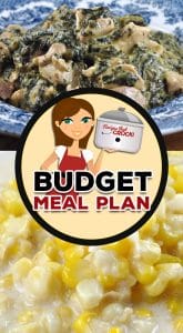 If you are looking for a way to feed your family while staying on budget, check out this Budget Meal Plan: Week 7.