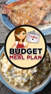 For Budget Meal Plan: Week 11, we are going to have some recipes that have tons of flavor without many ingredients to buy!
