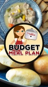 If you would like to stay on budget while also having incredible meals, check out Budget Meal Plan: Week 16.