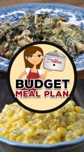 This week for Budget Meal Plan: Week 19, we are going to put some amazing meals on you stable while not spending a ton of money!
