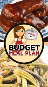 The flavors in Budget Meal Plan: Week 22 are sure to please. Young and old alike are going to love these money saving recipes!