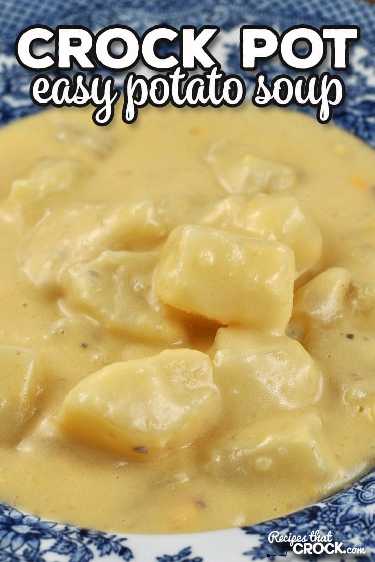 This Easy Crock Pot Potato Soup is not only simple to throw together, it is also incredibly tasty and picky eater approved!