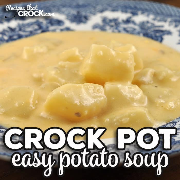This Easy Crock Pot Potato Soup is not only simple to throw together, it is also incredibly tasty and picky eater approved!