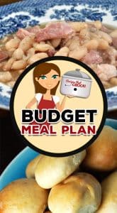 If you are looking for a way to use your holiday leftovers in your menu this week, I have you covered with Budget Meal Plan: Week 27.