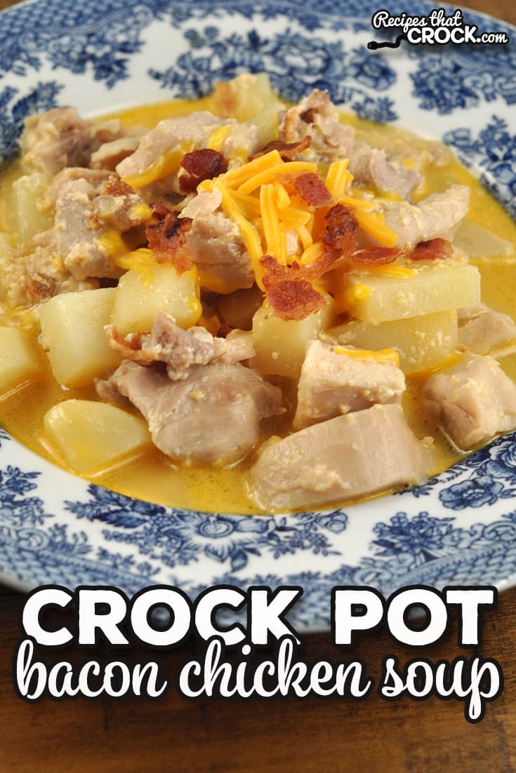 If you are in the mood for a delicious and hearty soup, check out this Crock Pot Bacon Chicken Potato Soup.