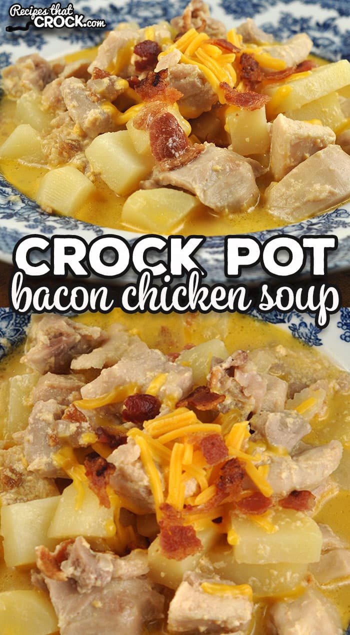 If you are in the mood for a delicious and hearty soup, check out this Crock Pot Bacon Chicken Potato Soup.