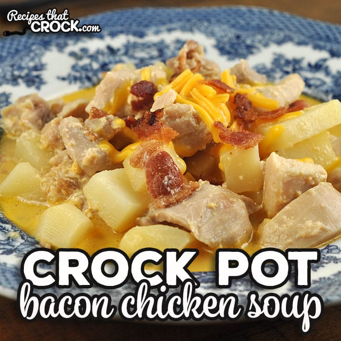 If you are in the mood for a delicious and hearty soup, check out this Crock Pot Bacon Chicken Potato Soup.