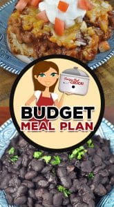 If you are looking for a delicious menu for this week, check out Budget Meal Plan: Week 32. What is even better is that it won't break the bank either!