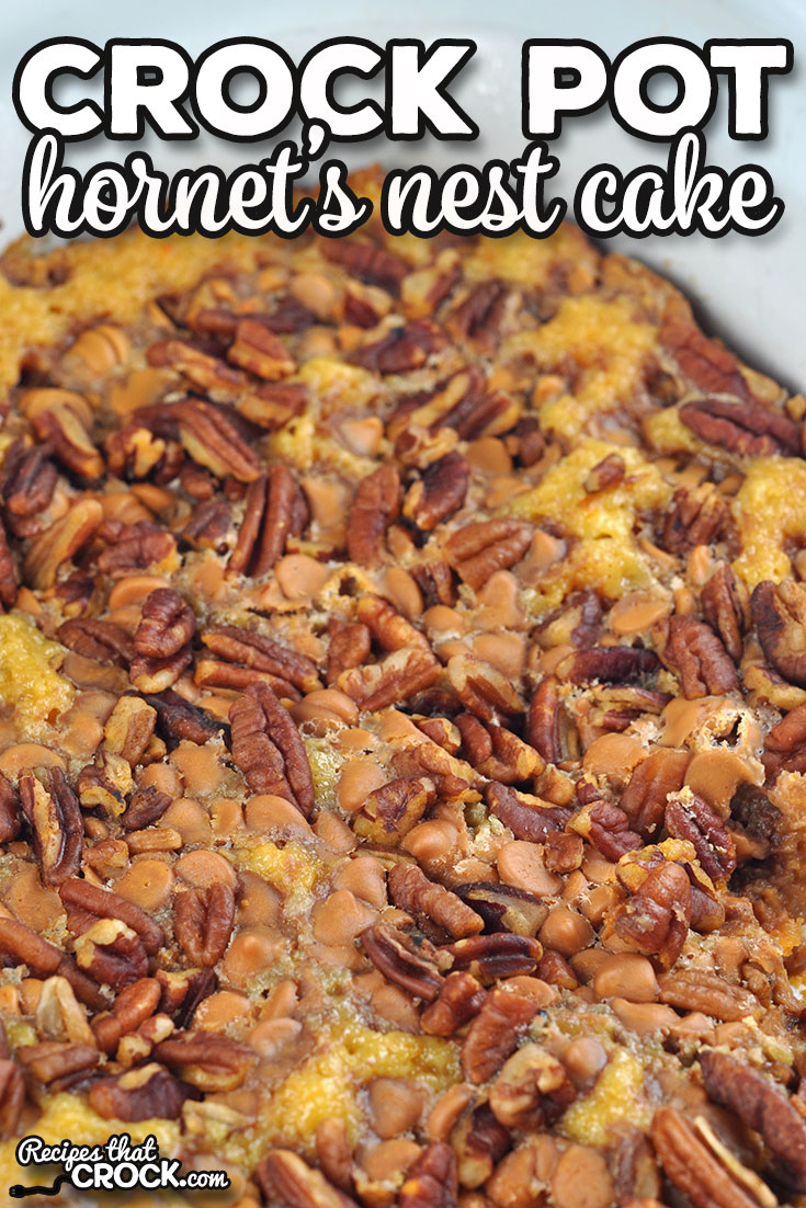 This Crock Pot Hornet’s Nest Cake is incredibly easy to throw together and is packed full of flavor! It is sure to be a hit wherever it is served.