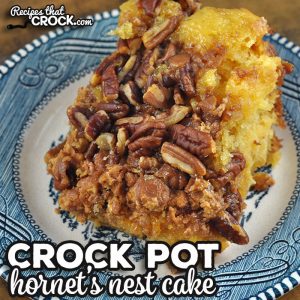 This Crock Pot Hornet’s Nest Cake is incredibly easy to throw together and is packed full of flavor! It is sure to be a hit wherever it is served.