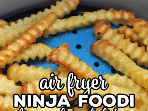 https://www.recipesthatcrock.com/wp-content/uploads/2023/07/Ninja-Foodi-Frozen-French-Fries-Air-Fryer-Recipe-SQ-500x375.jpg