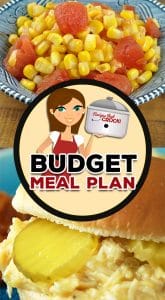 If you are short on time this week but still want a meal plan that will save you money, I have you covered with Budget Meal Plan: Week 48.