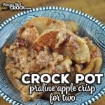 If you want a delicious apple treat for you and one other person, check out this delicious Crock Pot Praline Apple Crisp for Two recipe.