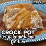 This Crock Pot Teriyaki Pork Loin for Two is super easy to make. As an added bonus, this recipe has amazing flavor!