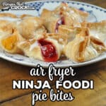 These delicious Ninja Foodi Pie Bites are a great way to easily please everyone's favorite fruit pie preference!
