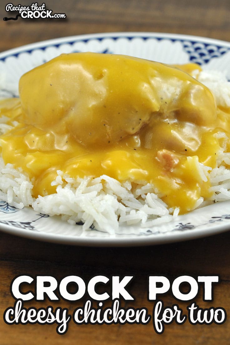 If you are looking for a delicious recipe for two, I highly recommend this Cheesy Crock Pot Chicken for Two. It is so yummy!