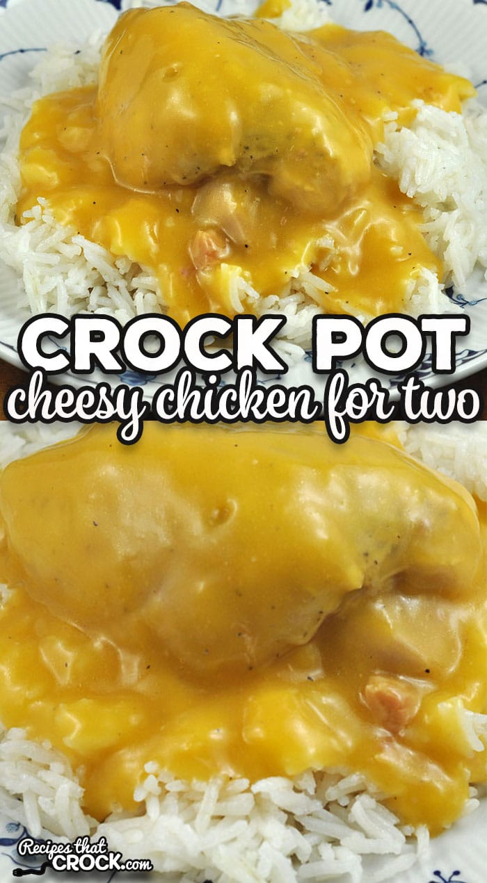 If you are looking for a delicious recipe for two, I highly recommend this Cheesy Crock Pot Chicken for Two. It is so yummy!