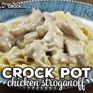 Are you in need of an easy recipe that is comfort food at its best? I recommend giving this Crock Pot Chicken Stroganoff a try. It is wonderful!