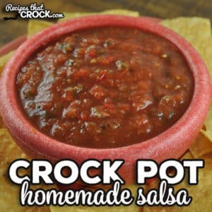 This Crock Pot Homemade Salsa is an easy way to make a big batch of salsa that tastes great! It is perfect to take to a party or as a treat at home.