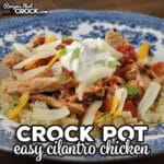 If you are looking for an easy and delicious recipe, I highly recommend trying this Easy Crock Pot Cilantro Chicken. It is so good!