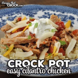 If you are looking for an easy and delicious recipe, I highly recommend trying this Easy Crock Pot Cilantro Chicken. It is so good!