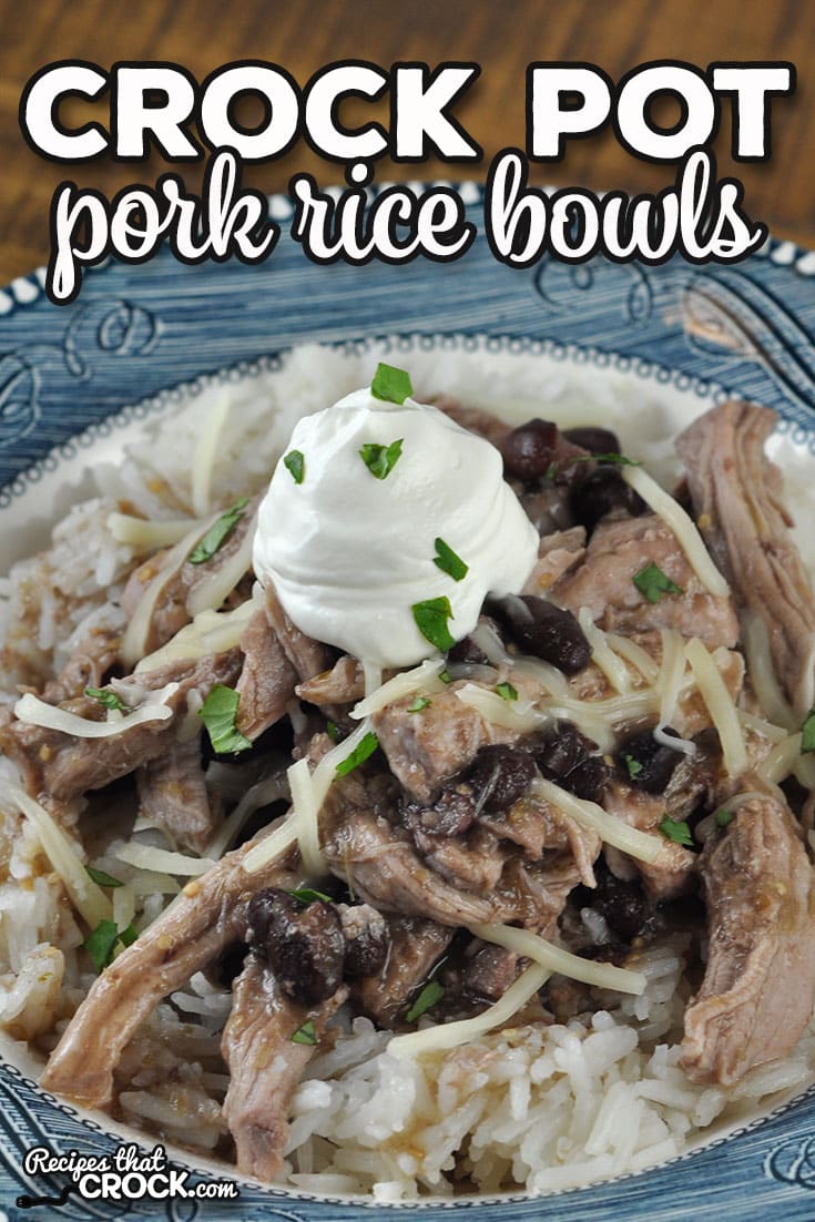 This Pork Crock Pot Rice Bowl recipe is a dump and go recipe that is delicious and filling. It is an instant crowd pleaser!